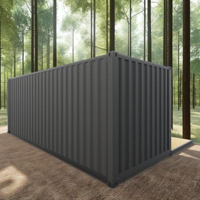 Log 20ft écologique maison de conteneurs à emballage plat préfabriqué construction durable structure en acier résistant à la pluie vente de neige