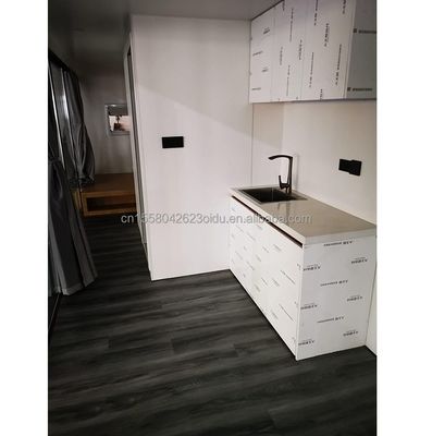 Couleur personnalisée Conteneur moderne Mini Vacances Capsule Chambre d'une chambre Hôtel de structure en acier Conçu avec un style moderne
