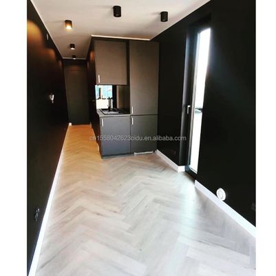 Conteneur de maison modulaire 40 pieds