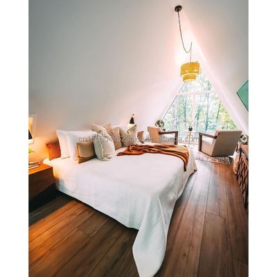 Structure en acier maison en bois triangulaire