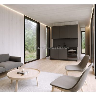Moderne de l'UE 20ft assemblage rapide maisons en bois conteneur magasin d'hôtel pour le bureau en couleur personnalisée