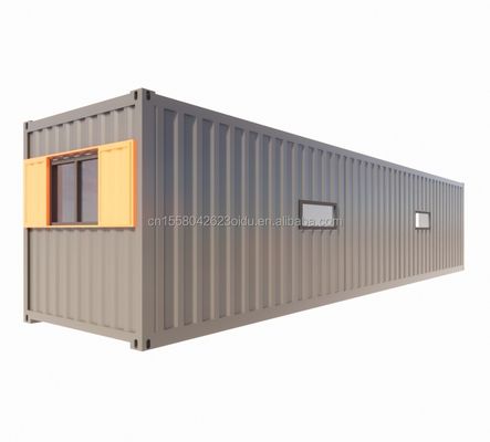 Appartement de conteneur 40FT Modulaire maisons en bois finie personnalisée couleur indépendante appartement étudiant maison préfabriquée