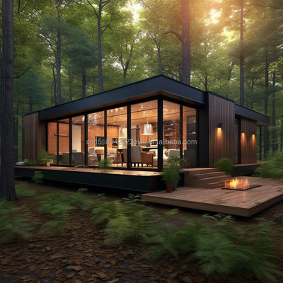 Magasin de construction familiale en acier 20ft/40ft UE Luxe Design moderne Maison préfabriquée avec cuisine salle de bain Une chambre