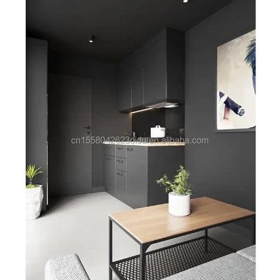 Tubes carrées en acier galvanisé Structure principale maisons préfabriquées de 20 pieds conteneur moderne portable appartement pour hôtel