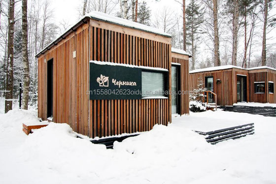 Maison préfabriquée en bois de 20 pieds cadre en acier maison minuscule pour la forêt conteneur résidentiel maison préfabriquée mobile vente