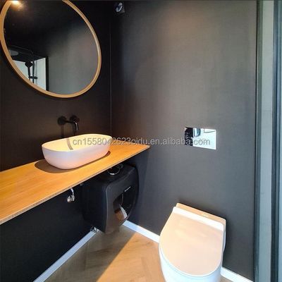 Panneau sandwich en acier Villa préfabriquée en bois Container maison avec un design moderne et des caractéristiques extensibles